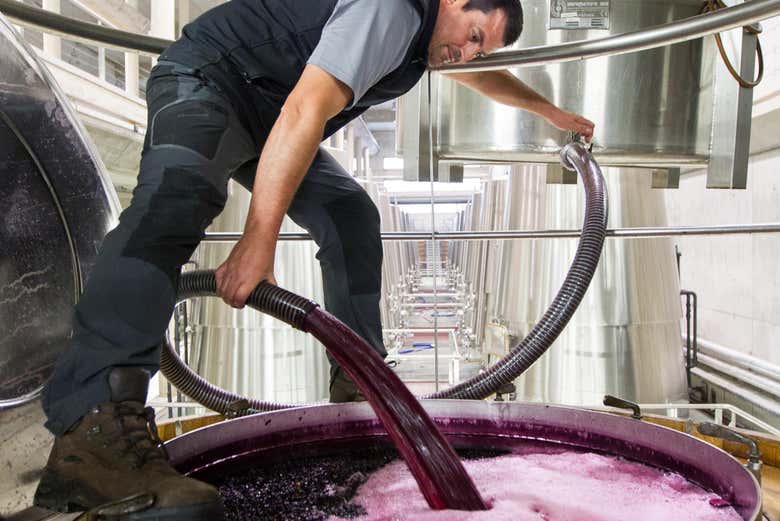 Veréis como se hace el preciado vino de La Rioja