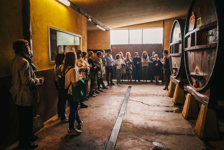 Installations d'une cidrerie basque