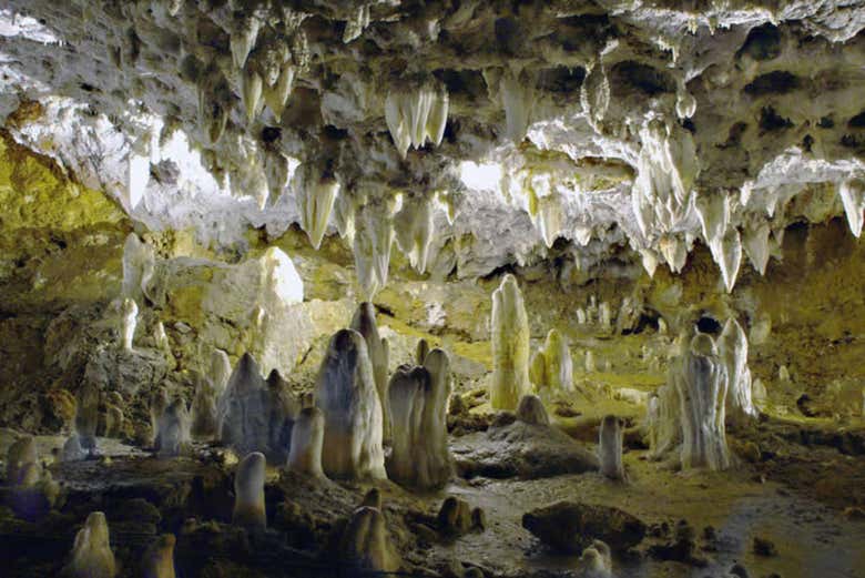 Estalactitas de la cueva