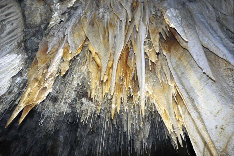 Interior de la cueva