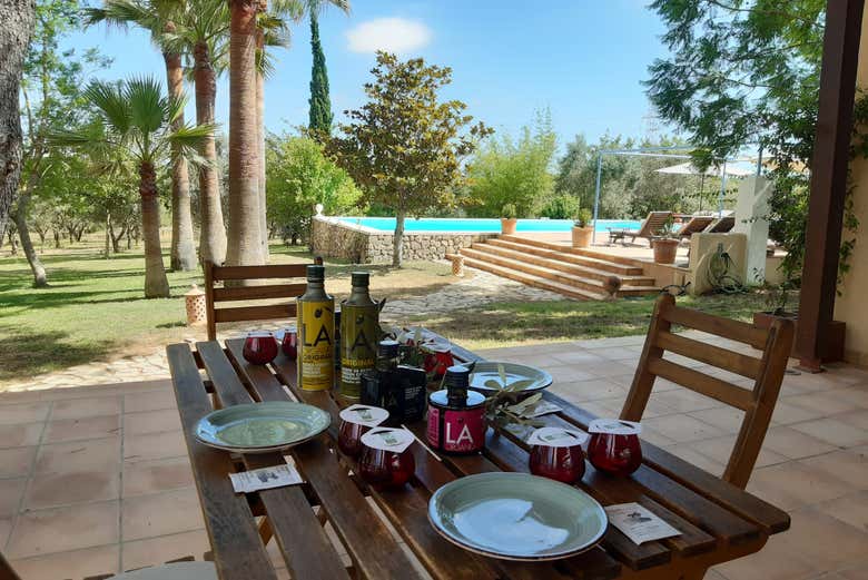 Mesa pronta para a degustação