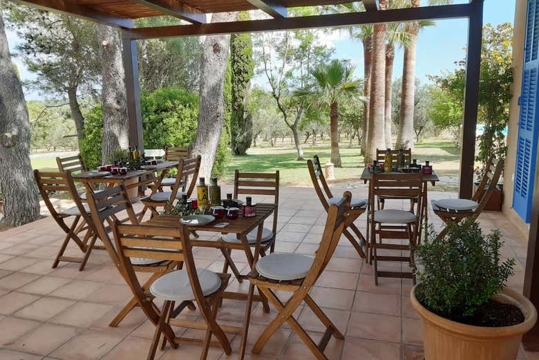 Degustaremos os melhores azeites da região