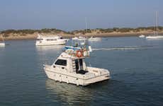 Alquiler de barco con patrón en Sancti Petri