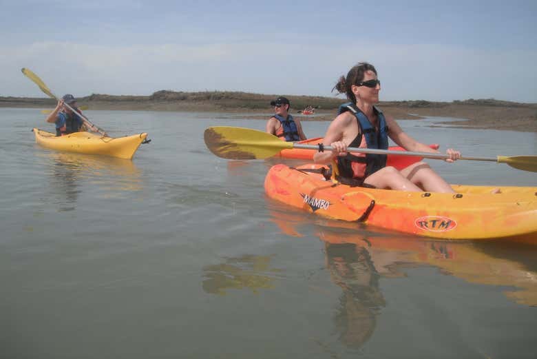Aprendiendo a remar