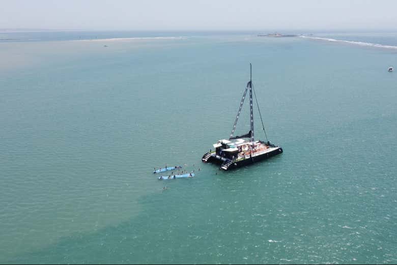 Catamarano Pura Vida