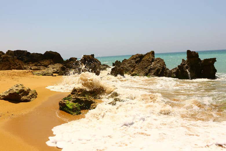 The shores of the beach