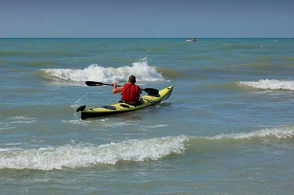 Tour en kayak por las marismas de Sancti Petri