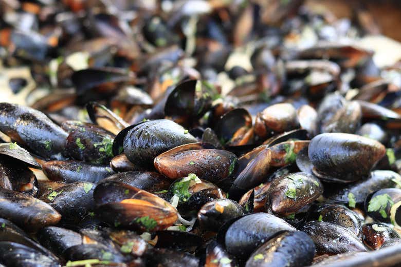 Las rías gallegas destacan por sus cultivos de mejillones