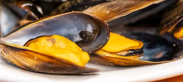 Paseo en barco por la ría + Degustación de mejillones