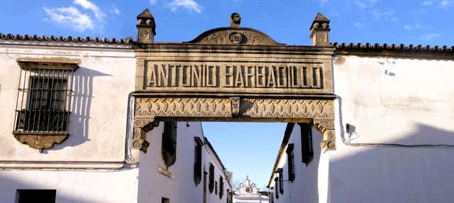 Free tour por Sanlúcar de Barrameda