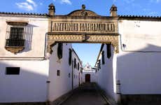 Free tour di Sanlúcar de Barrameda