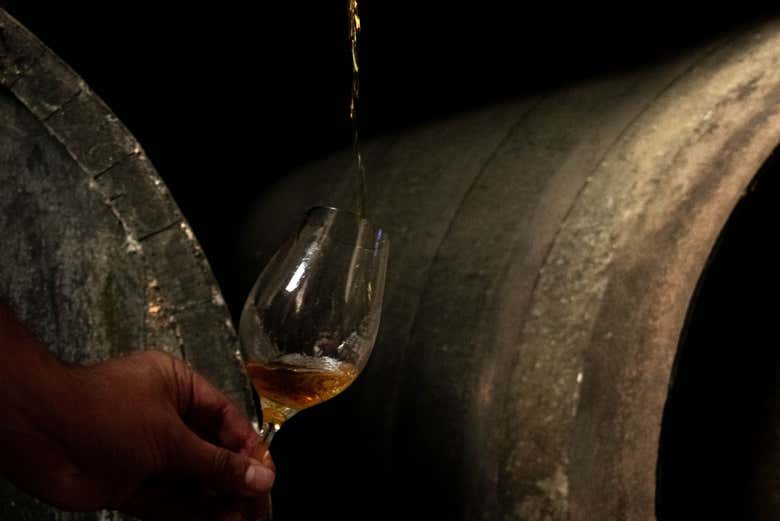 No os perdáis la visita a Bodegas Barón