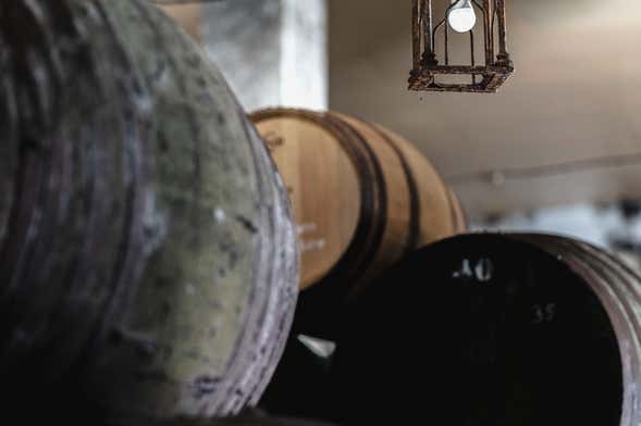 Visita a las Bodegas Barón