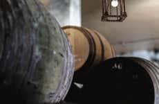 Visita a las Bodegas Barón