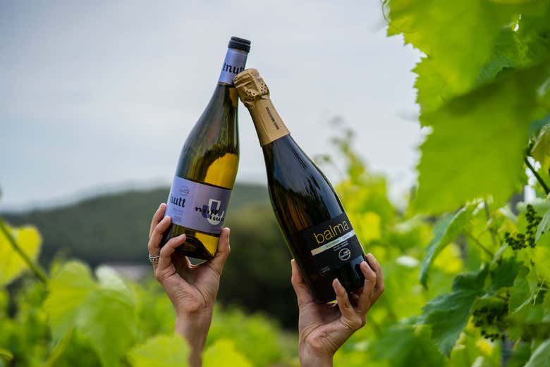 Brindando com duas garrafas de vinho