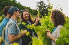 Visita a la bodega Mas Bertran