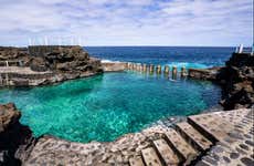 Escursione al bosco di Los Tilos e al Charco Azul + Visita a una distilleria di rum