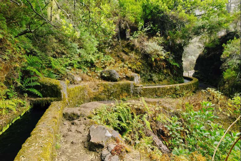 Recorriendo los canales de los nacientes de Marcos y Cordero