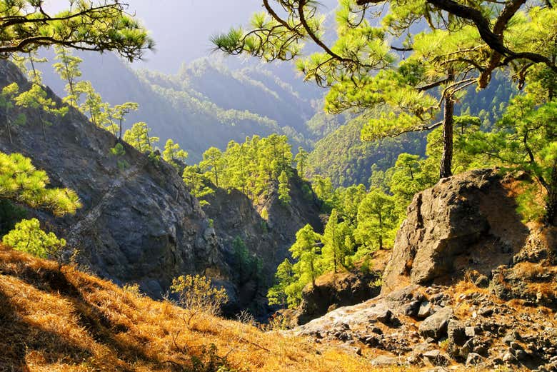 Caldera de Taburiente