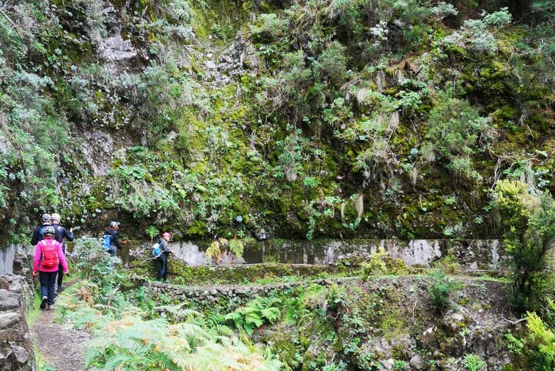 Recorriendo los canales de Marcos Cordero en grupo