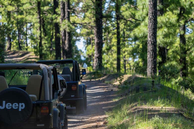 Explorez les sentiers de La Palma en 4x4