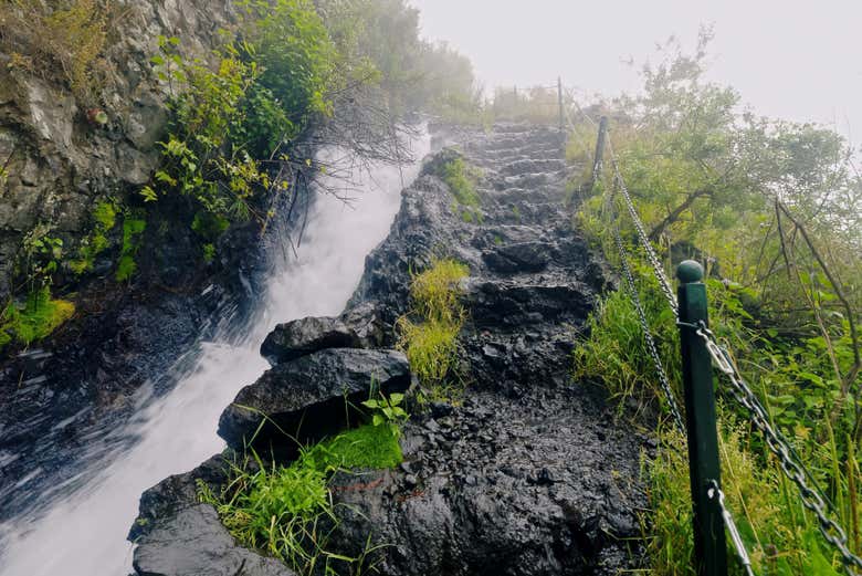 Siguiendo el curso del agua