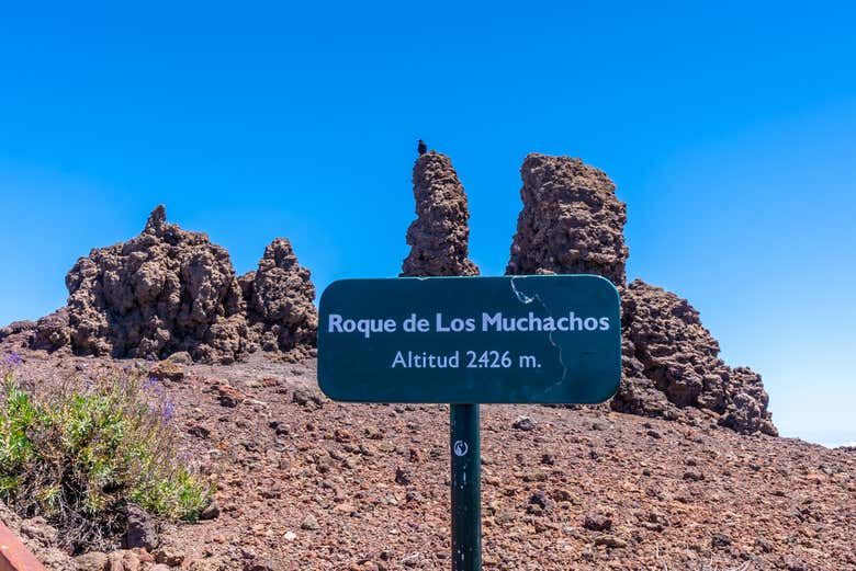 Placa do topo do Roque de los Muchachos