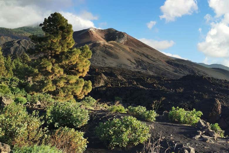 Balade dans le parc naturel de Cumbre Vieja