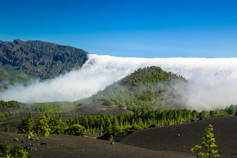 Mer de nuages à La Palma