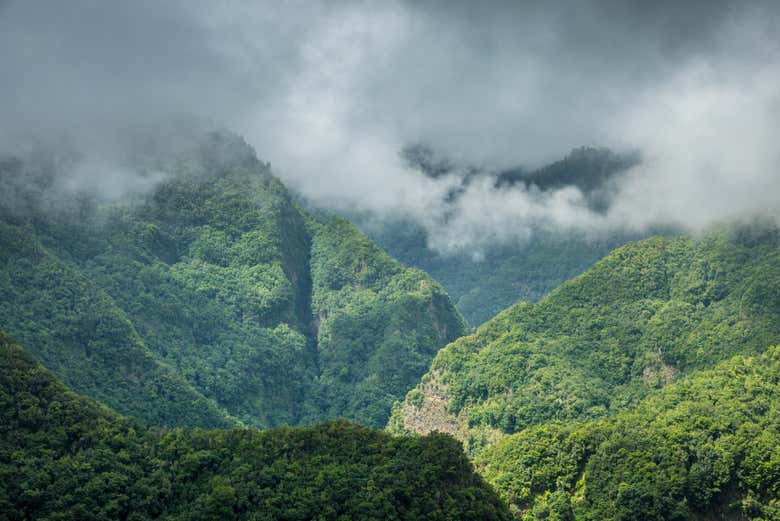 Montagnes de la région