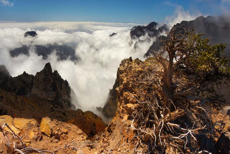 Nubes sobre la Caldera de Taburiente