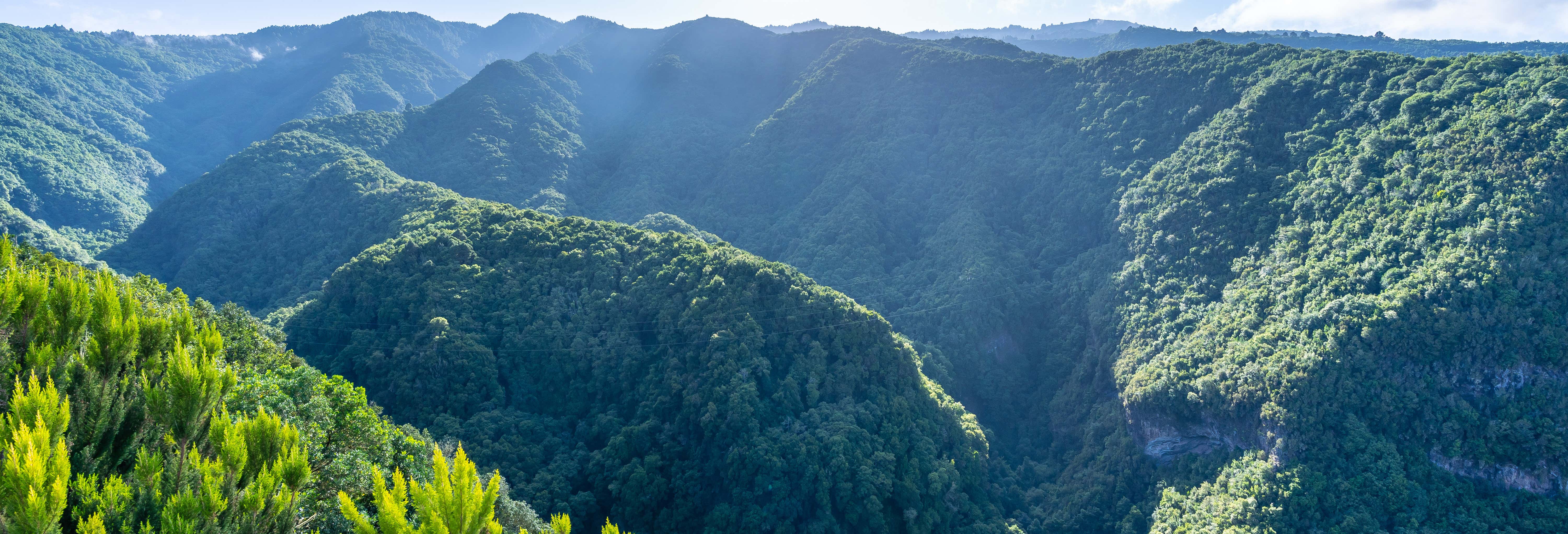 Hiking in Santa Cruz de La Palma