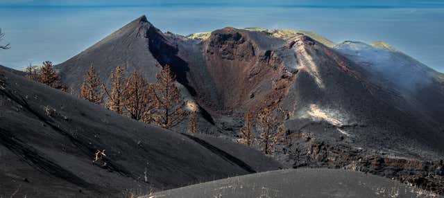 Tour por La Palma para cruceros