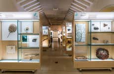 MUNA Museum Tickets + Teide National Park Audio Guide