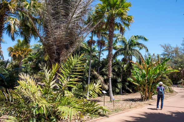 Biglietti del Palmetum