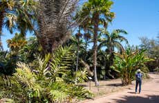 Entrada al Palmetum