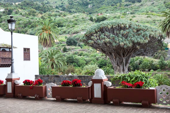 Excursão privada por Tenerife