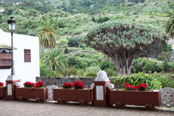 Excursión privada por Tenerife