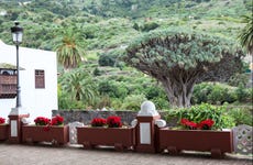 Excursión privada por Tenerife