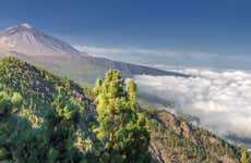 Excursión al Teide y La Orotava para cruceros