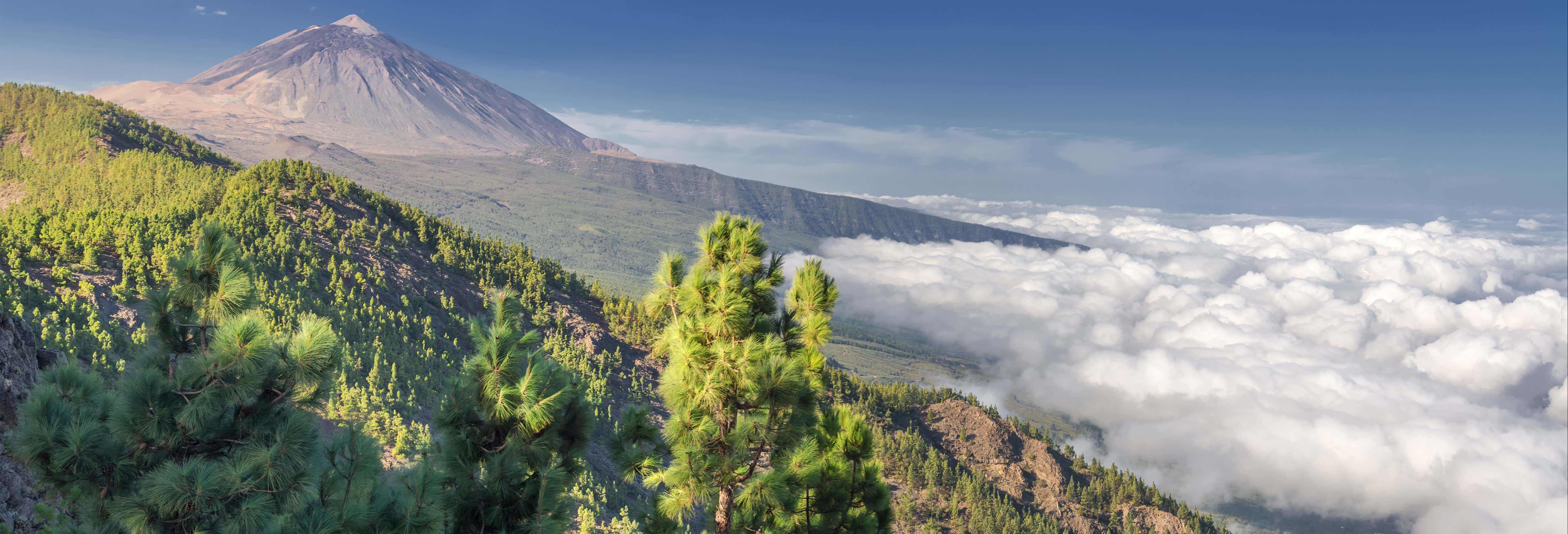 Escursioni di un giorno a Santa Cruz de Tenerife
