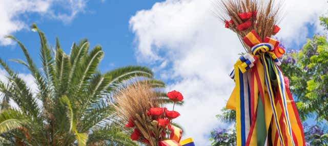 Free tour del Carnaval de Santa Cruz de Tenerife