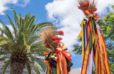 Free tour del Carnaval de Santa Cruz de Tenerife