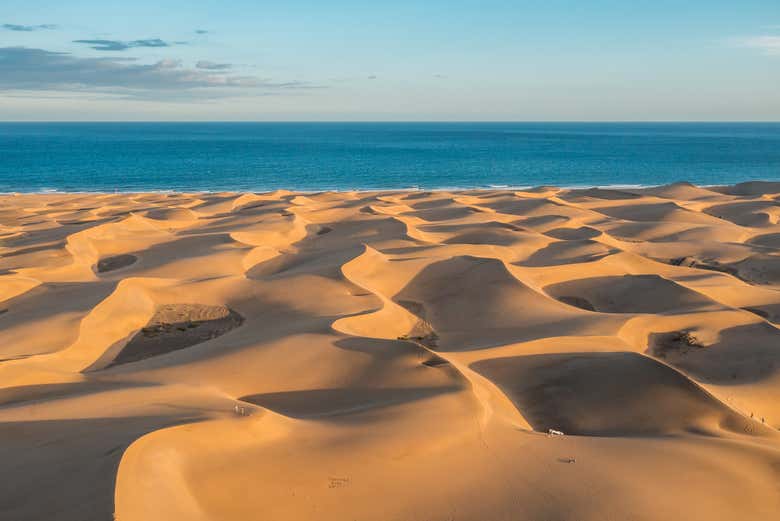 Admirez les dunes de Maspalomas