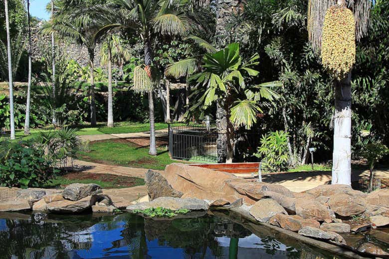 Les jardins du Palmetum