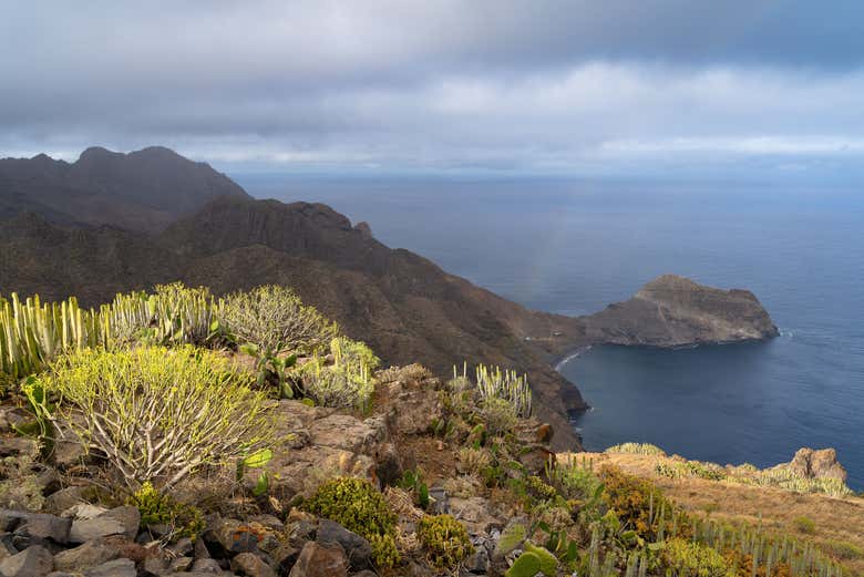 Litorale del macigno di Anaga, nel nordest di Tenerife
