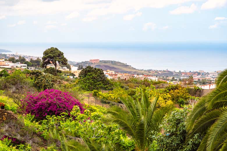 Valle de la Orotava