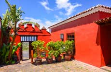 North Tenerife Wine Tour