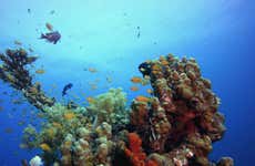 Excursão a Tabarca de barco + Snorkel