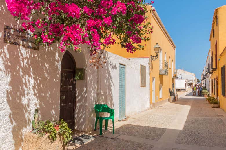 Flores en una calle de Tabarca